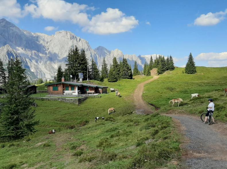 Mühlbach am HochkönigHochkoenig Ferienアパートメント エクステリア 写真